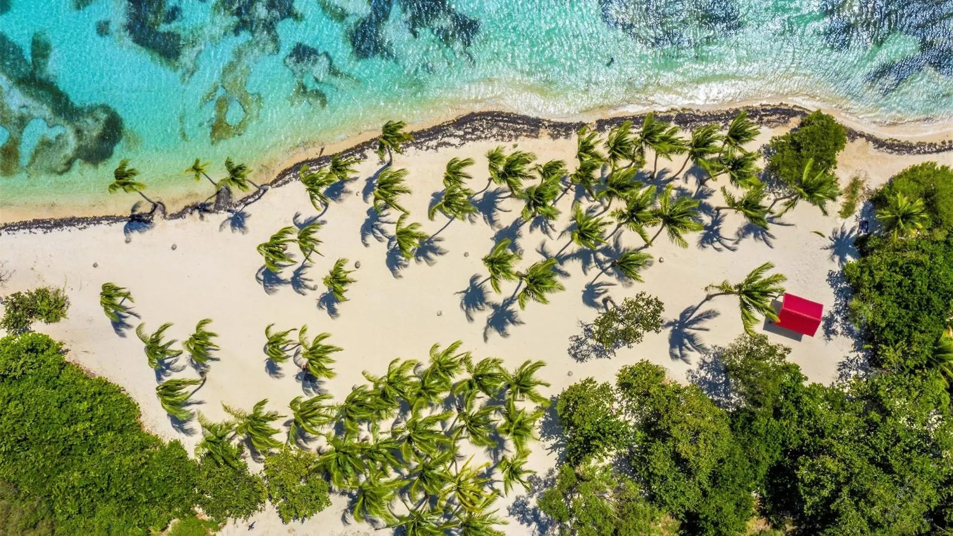 Villa Jolan Sainte-Anne  Guadeloupe