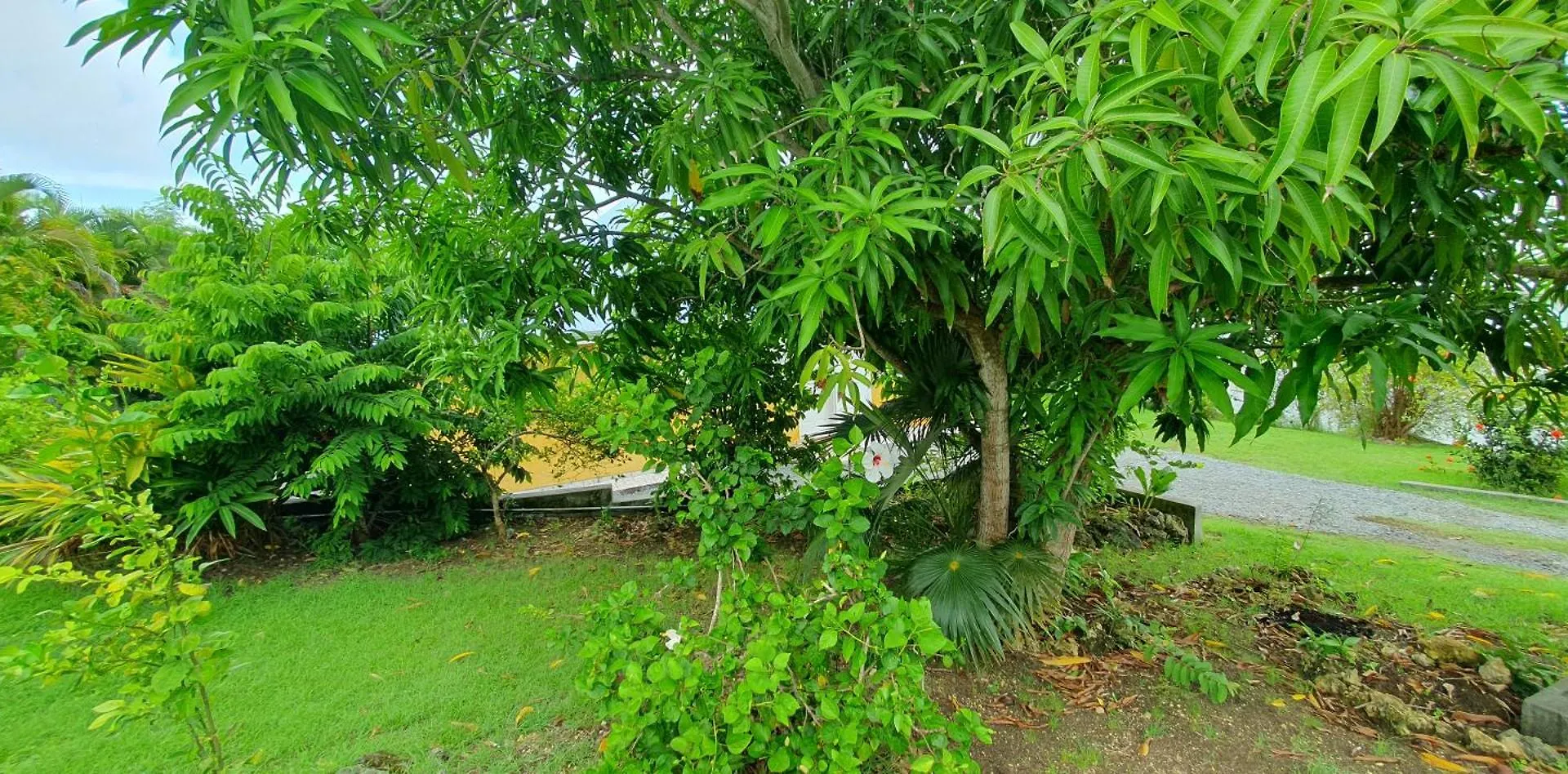 Villa Jolan Sainte-Anne